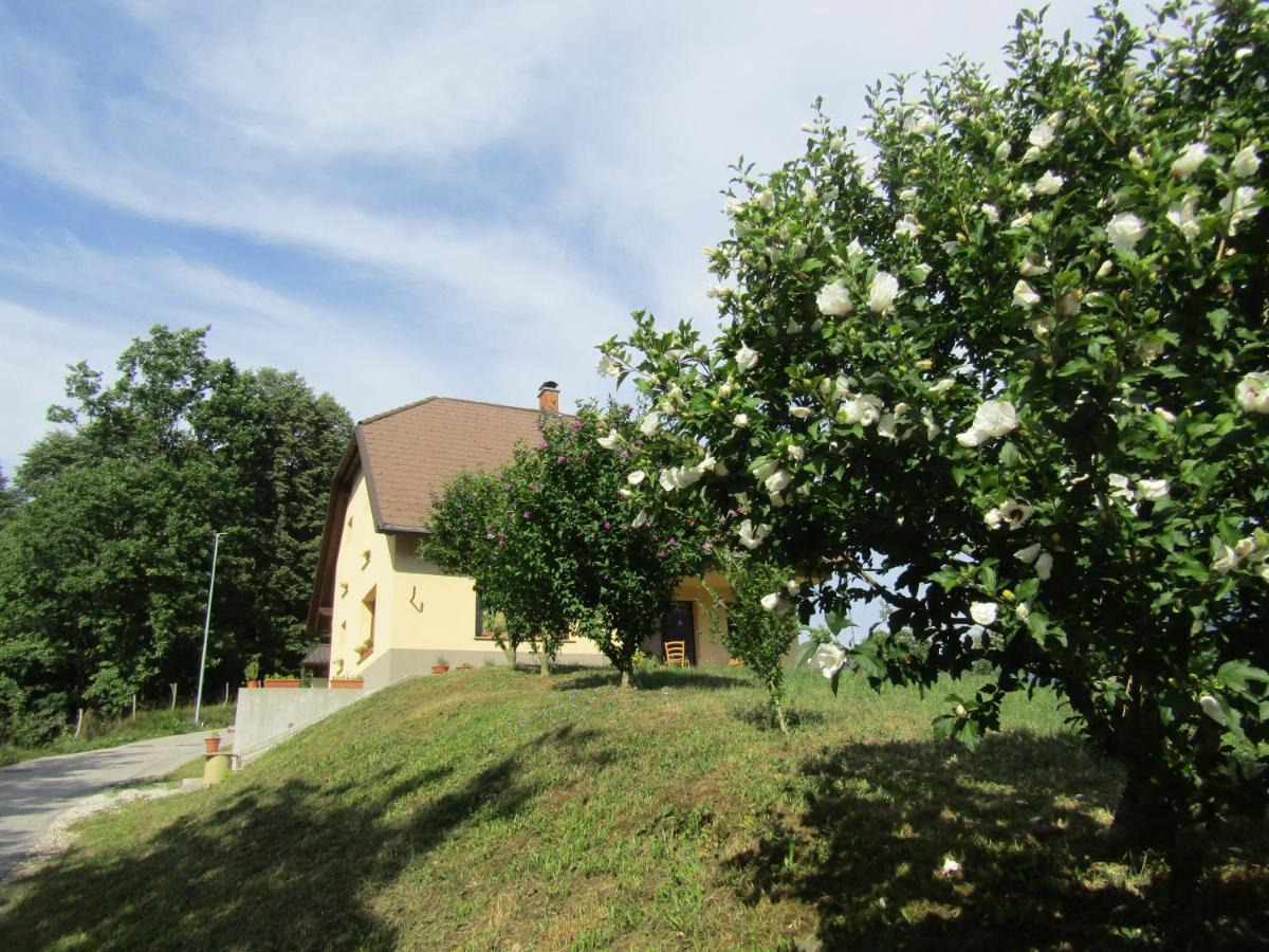 Apartma Melinc Bovec Exterior photo